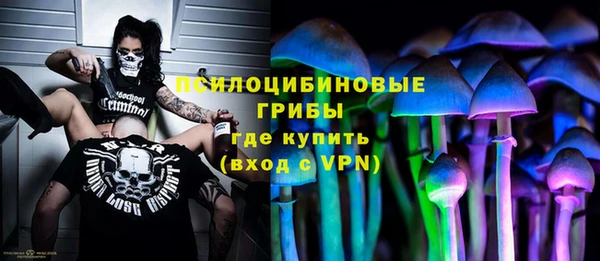 а пвп мука Гусь-Хрустальный