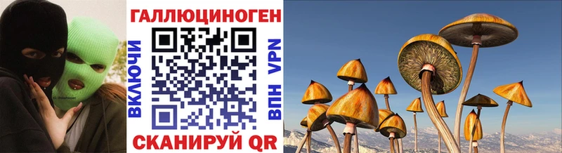 Псилоцибиновые грибы MAGIC MUSHROOMS  Купить где  Пестово 